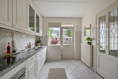 Tormentil 5 Castricum De Groot 14.JPG